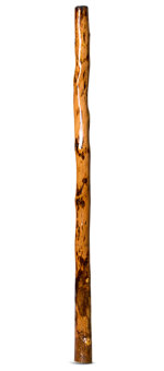 Peter Sherwood Didgeridoo (NV118)